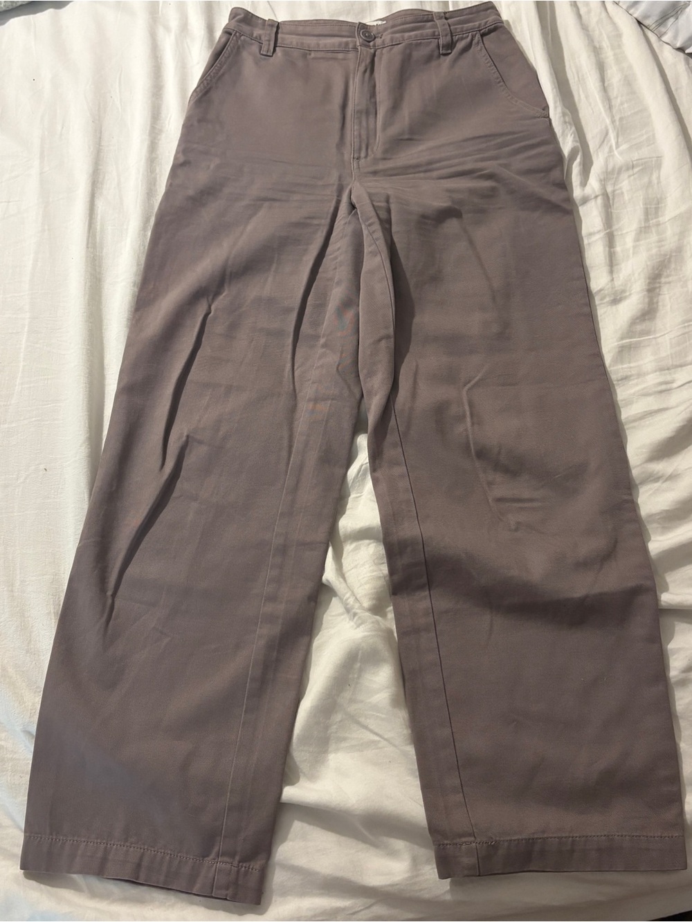 Aritzia Sunday Best Wide-Leg Cotton Jaden Pants in Taupe Brown Size 2